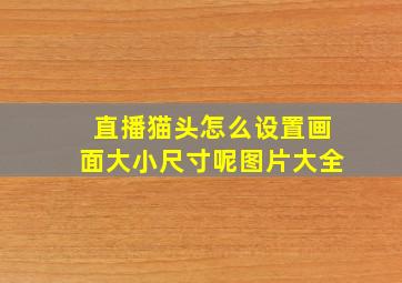 直播猫头怎么设置画面大小尺寸呢图片大全