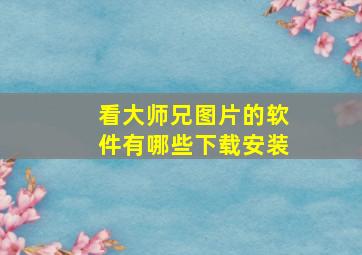 看大师兄图片的软件有哪些下载安装