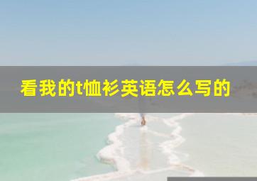 看我的t恤衫英语怎么写的