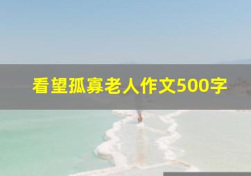 看望孤寡老人作文500字