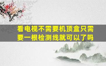 看电视不需要机顶盒只需要一根检测线就可以了吗