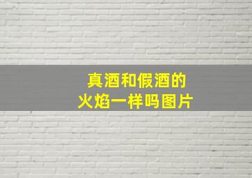 真酒和假酒的火焰一样吗图片