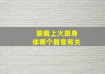 眼睛上火跟身体哪个器官有关