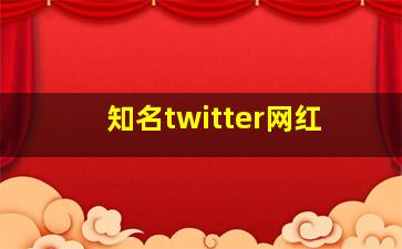 知名twitter网红