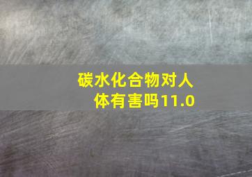 碳水化合物对人体有害吗11.0