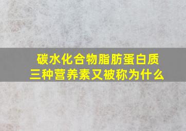 碳水化合物脂肪蛋白质三种营养素又被称为什么