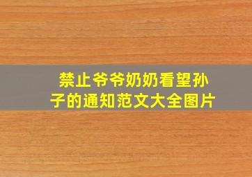 禁止爷爷奶奶看望孙子的通知范文大全图片