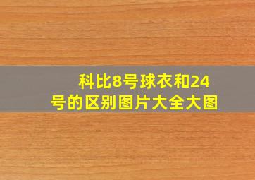 科比8号球衣和24号的区别图片大全大图