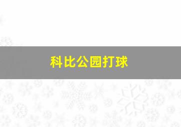 科比公园打球