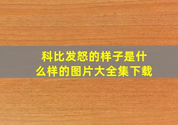 科比发怒的样子是什么样的图片大全集下载