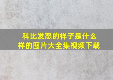 科比发怒的样子是什么样的图片大全集视频下载