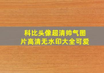 科比头像超清帅气图片高清无水印大全可爱