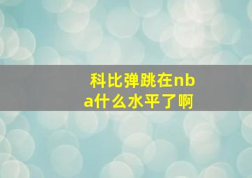 科比弹跳在nba什么水平了啊