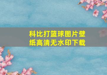 科比打篮球图片壁纸高清无水印下载