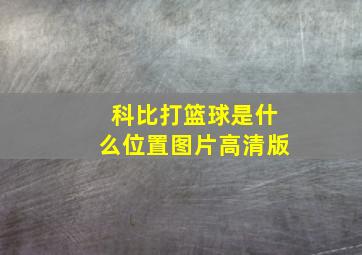 科比打篮球是什么位置图片高清版