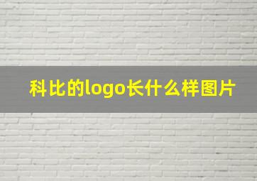 科比的logo长什么样图片