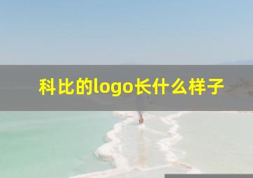 科比的logo长什么样子