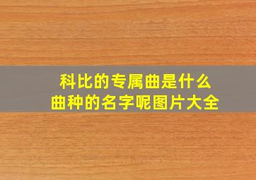 科比的专属曲是什么曲种的名字呢图片大全