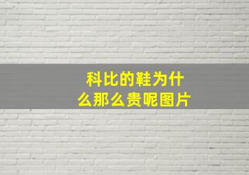 科比的鞋为什么那么贵呢图片