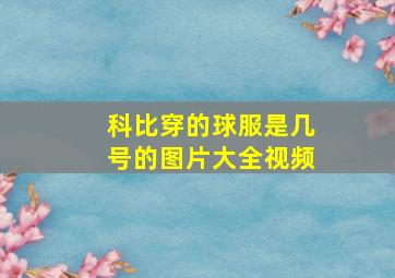 科比穿的球服是几号的图片大全视频