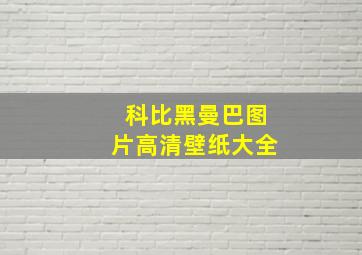 科比黑曼巴图片高清壁纸大全