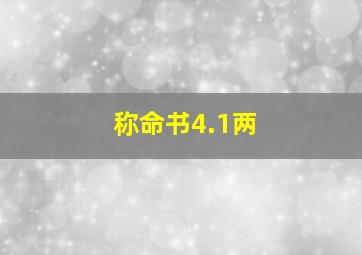 称命书4.1两