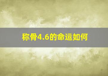 称骨4.6的命运如何