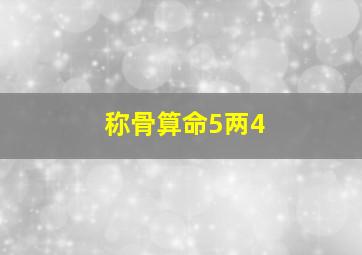 称骨算命5两4