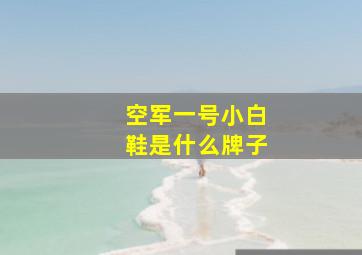 空军一号小白鞋是什么牌子