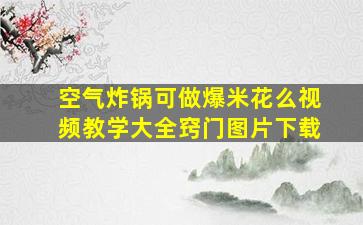 空气炸锅可做爆米花么视频教学大全窍门图片下载