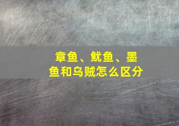 章鱼、鱿鱼、墨鱼和乌贼怎么区分