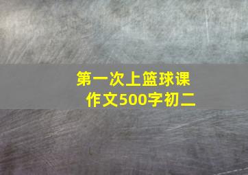 第一次上篮球课作文500字初二