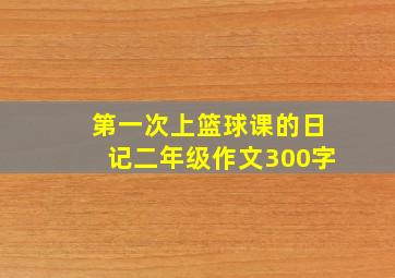 第一次上篮球课的日记二年级作文300字