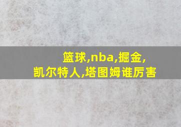 篮球,nba,掘金,凯尔特人,塔图姆谁厉害