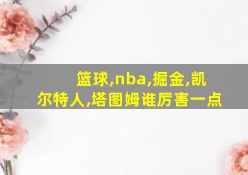 篮球,nba,掘金,凯尔特人,塔图姆谁厉害一点