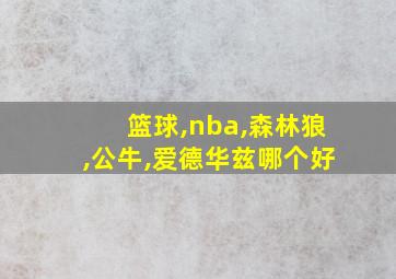 篮球,nba,森林狼,公牛,爱德华兹哪个好