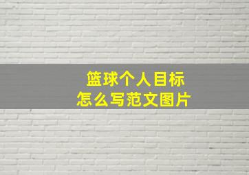 篮球个人目标怎么写范文图片