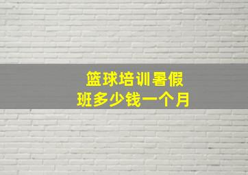 篮球培训暑假班多少钱一个月