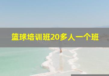 篮球培训班20多人一个班