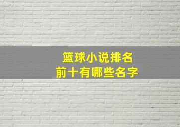 篮球小说排名前十有哪些名字