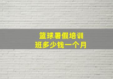 篮球暑假培训班多少钱一个月