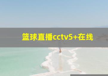 篮球直播cctv5+在线