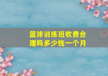 篮球训练班收费合理吗多少钱一个月