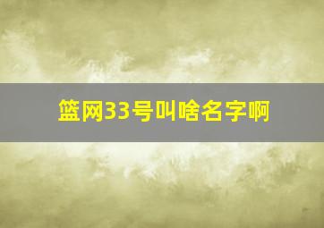 篮网33号叫啥名字啊