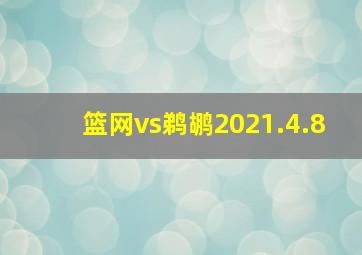 篮网vs鹈鹕2021.4.8