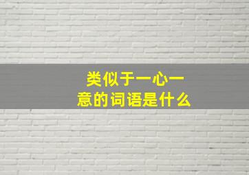 类似于一心一意的词语是什么