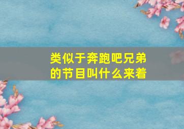 类似于奔跑吧兄弟的节目叫什么来着