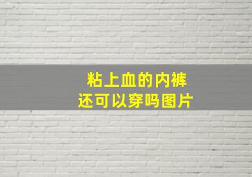 粘上血的内裤还可以穿吗图片