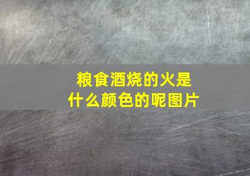 粮食酒烧的火是什么颜色的呢图片