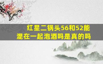 红星二锅头56和52能混在一起泡酒吗是真的吗